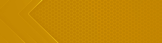 header logo area
